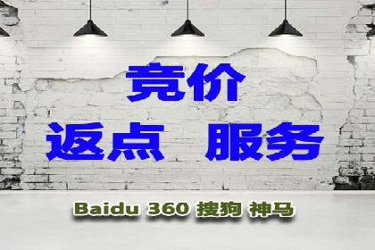 SEM代运营公司案例：实战经验分享